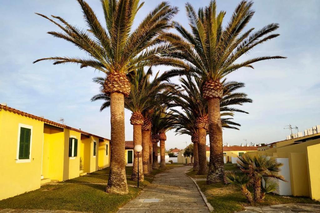Apartamento 7 Palmeras Ciutadella  Esterno foto
